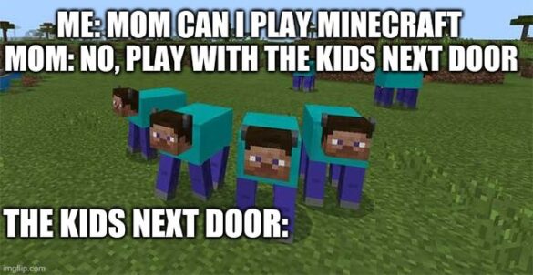 50 Most Funny Minecraft Memes (2022) - Gaming Pirate