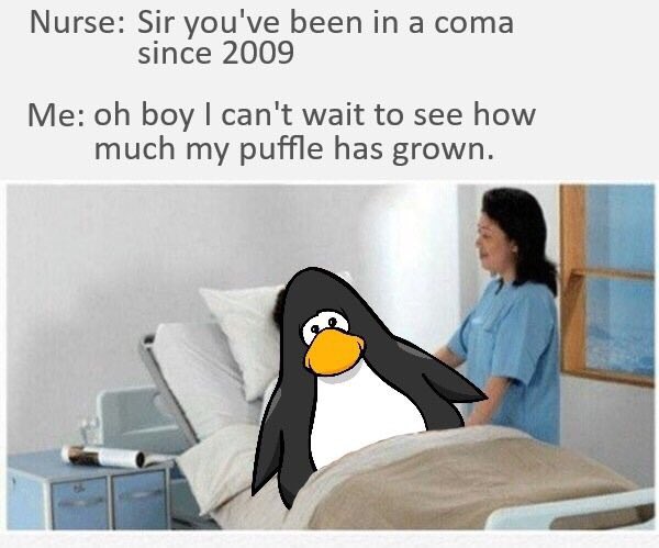 club-penguin-memes