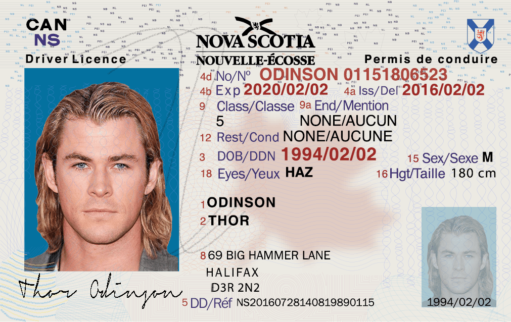 Fake ID For Roblox 2024 Gaming Pirate