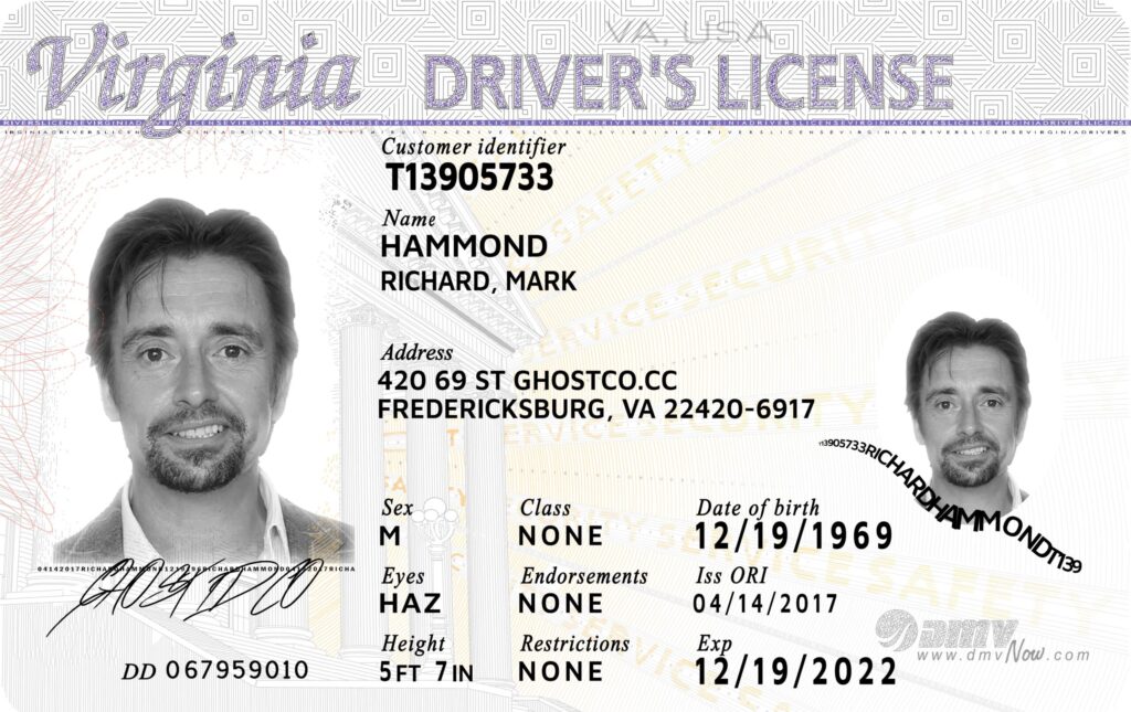 Fake ID For Roblox 2024 Gaming Pirate
