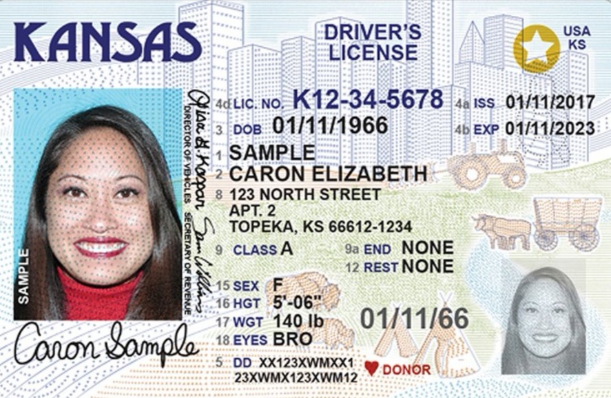 fake drivers license maker free online