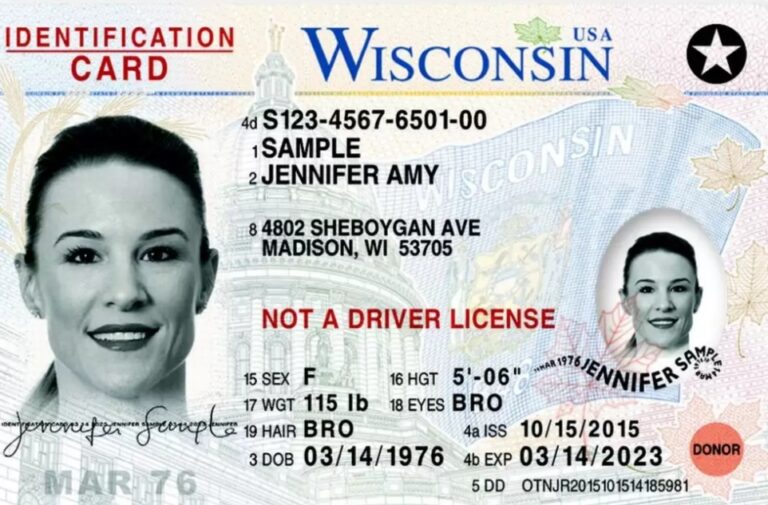 Fake ID For Roblox 2024 Gaming Pirate