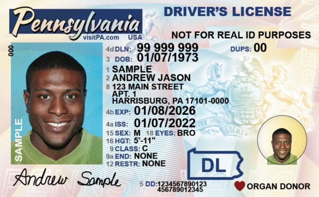 Fake ID For Roblox 2024 Gaming Pirate
