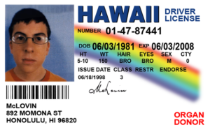 Fake ID for Roblox (2023) - Gaming Pirate